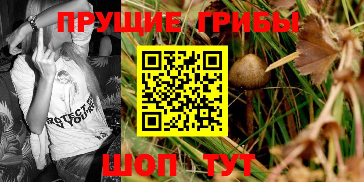 Галлюциногенные грибы Magic Shrooms Реутов