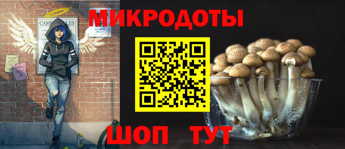 Псилоцибиновые грибы GOLDEN TEACHER  Вход с VPN  Галлюциногенные грибы Psilocybe  Реутов 